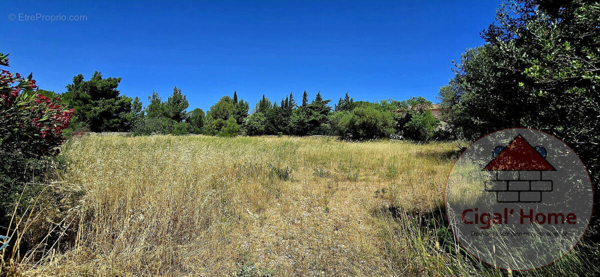 Terrain à LA PALME