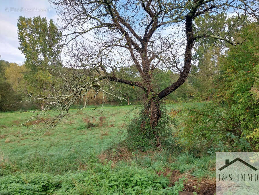 Terrain à EXIDEUIL
