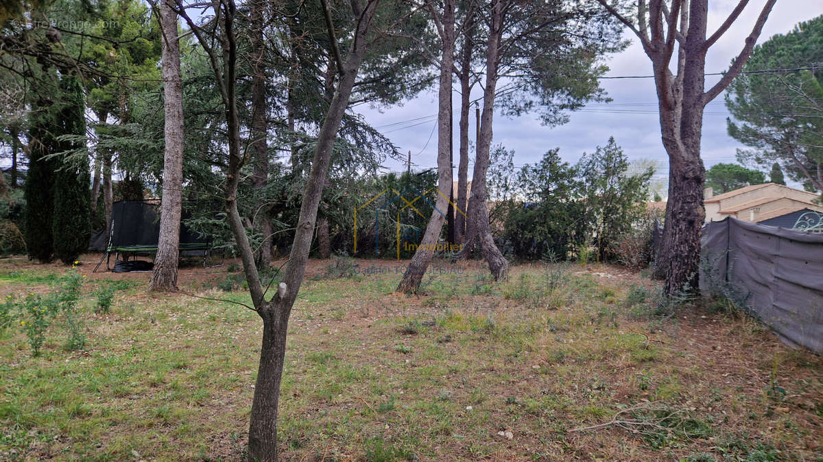 Terrain à SAINT-JEAN-DE-FOS