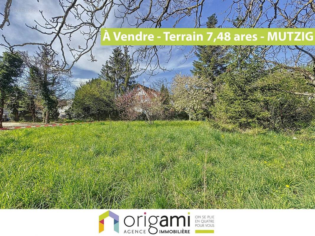 Terrain à MUTZIG