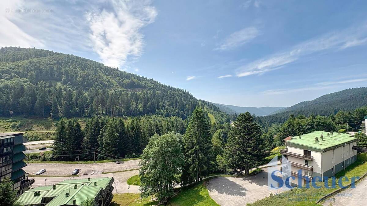 Appartement à LA BRESSE