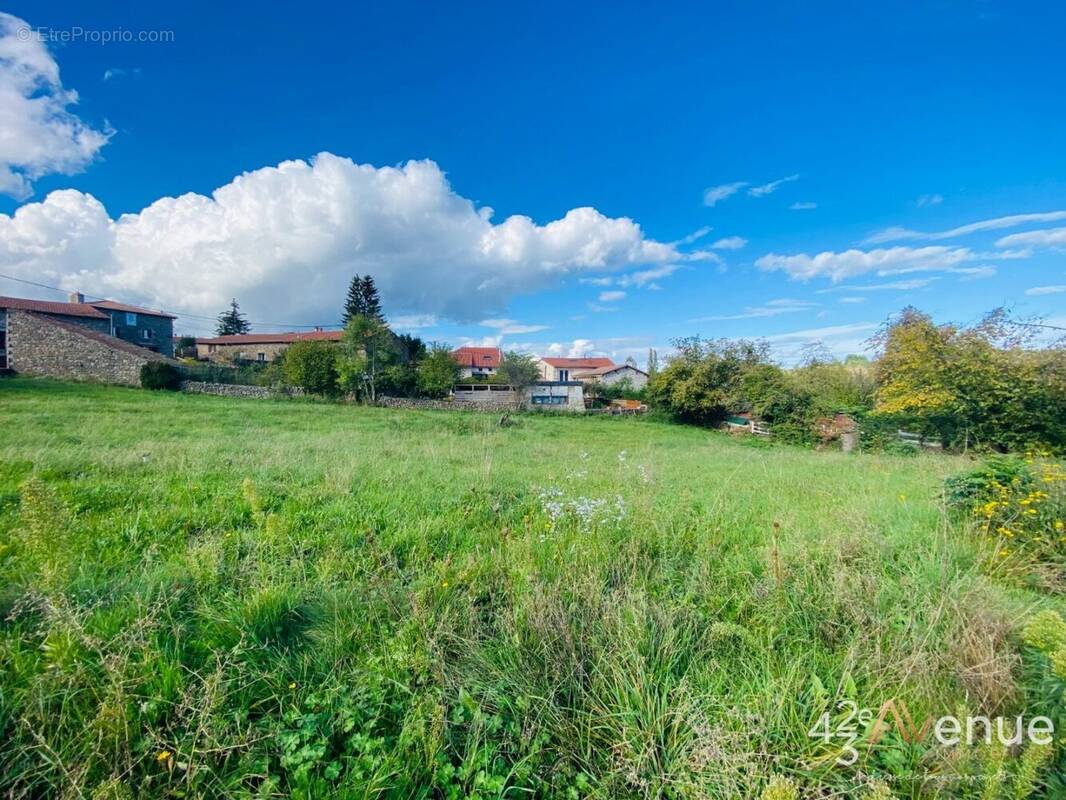 Terrain à MONISTROL-SUR-LOIRE