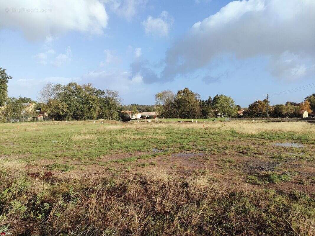 Terrain à MAREUIL-SUR-LAY-DISSAIS