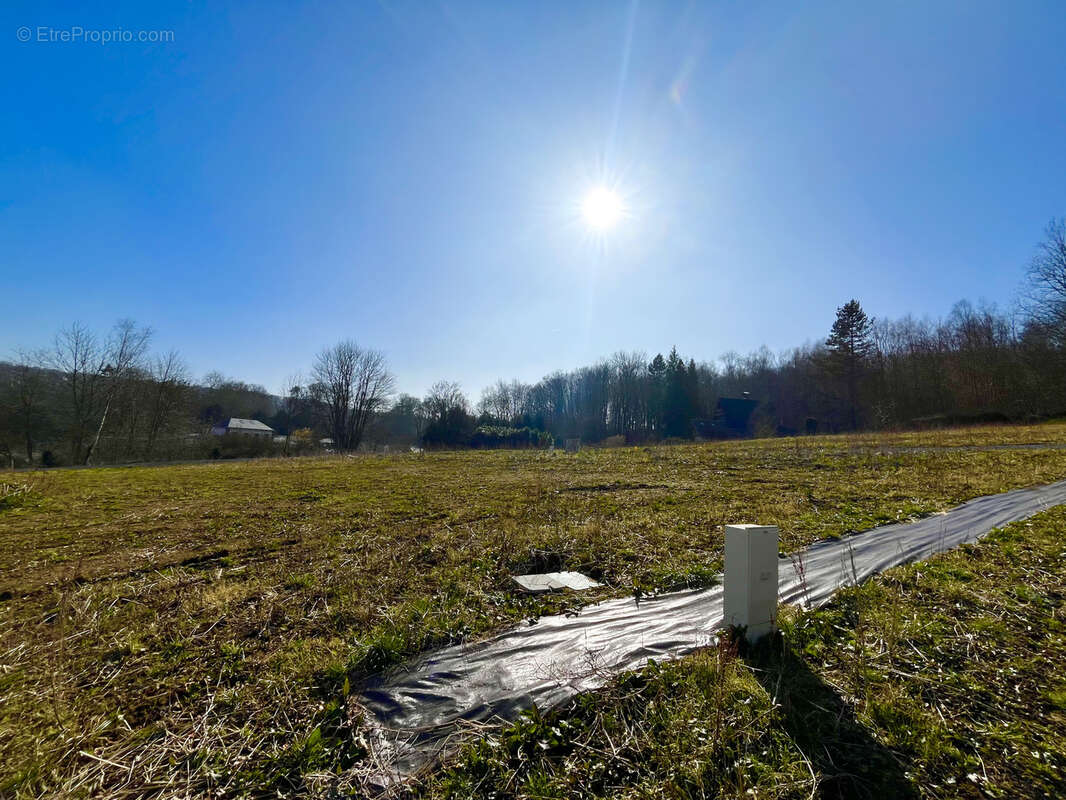 Terrain à CLERES