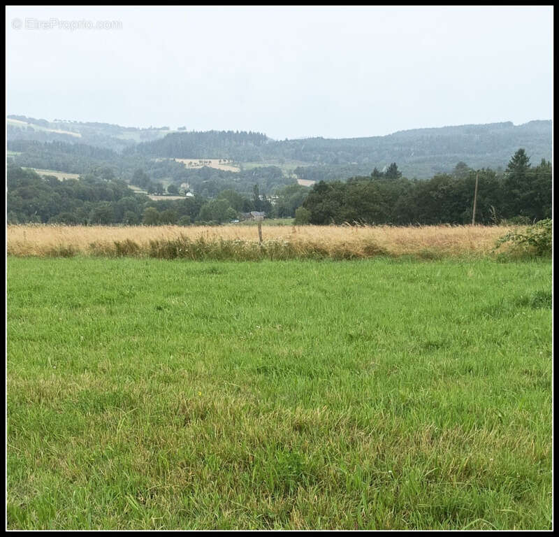 Terrain à BOURGANEUF