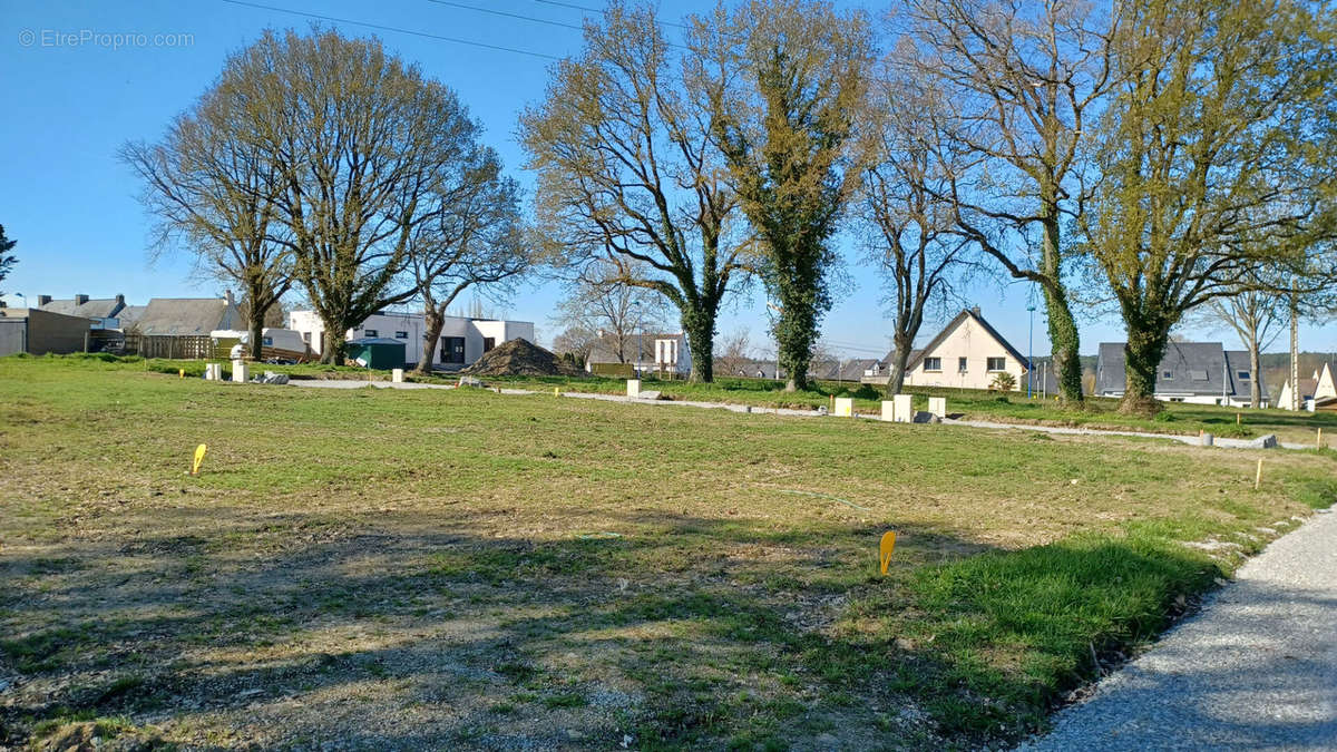Terrain à SAINT-DOLAY