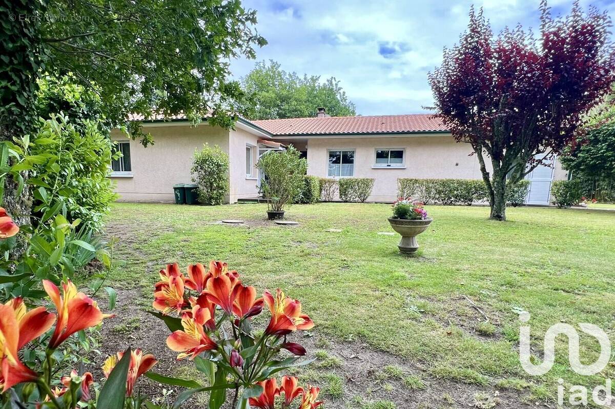 Photo 1 - Maison à SALLES