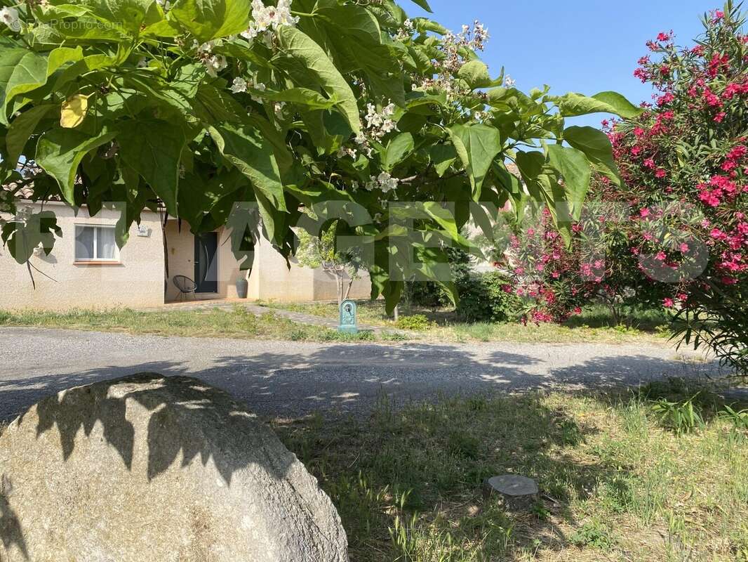 IMG_8948 - Maison à PEPIEUX