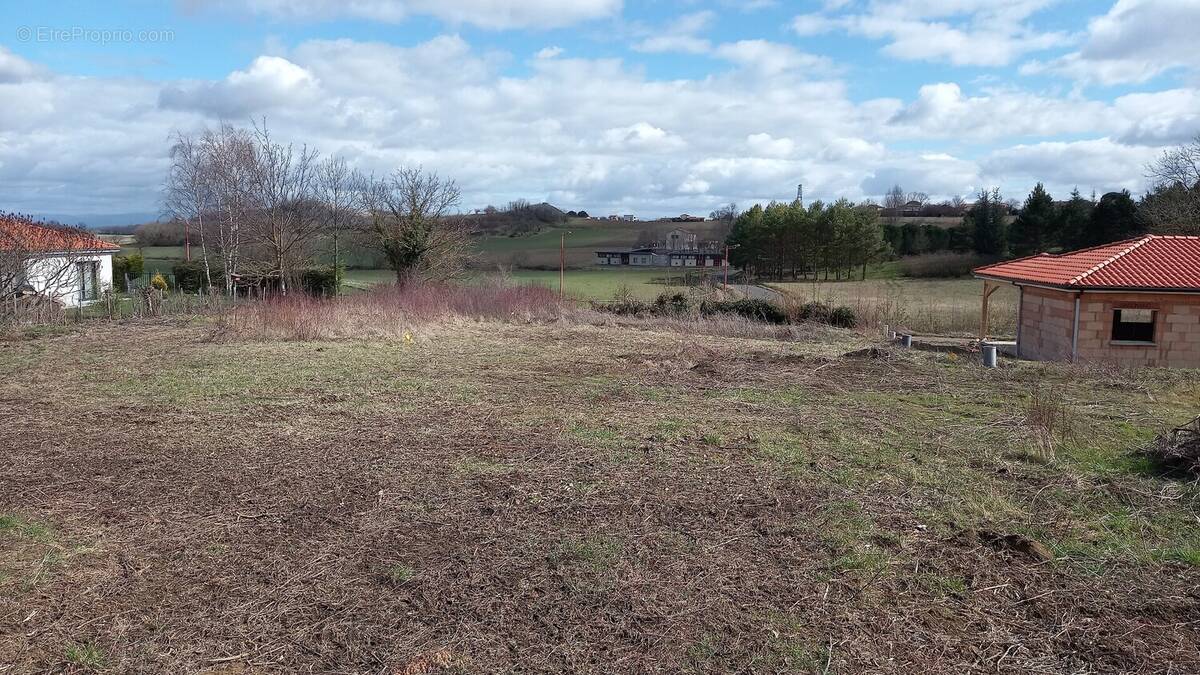 Terrain à SAINT-GEORGES-SUR-ALLIER