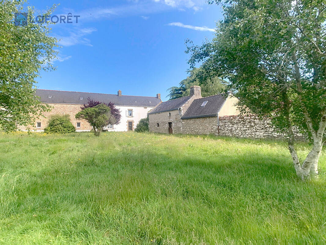 Maison à BELZ