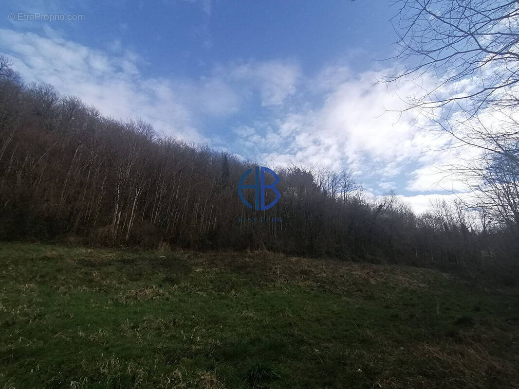 Terrain à CHAZEY-BONS