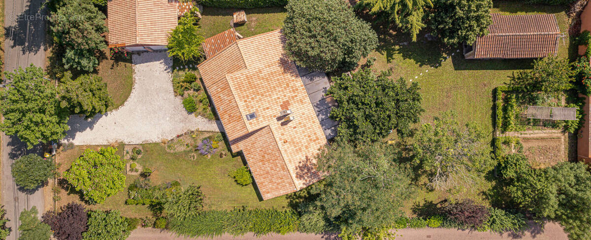Maison à VILLENEUVE-TOLOSANE