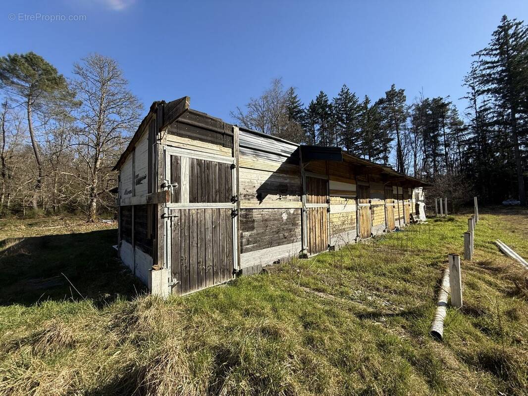 Terrain à NEUVY-SUR-BARANGEON