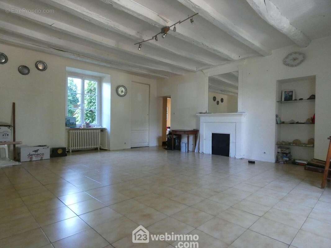 Elle distribue d&#039;un côté, une salle à manger traversante de 29 m2, avec cheminée, - Maison à ARCHIGNY
