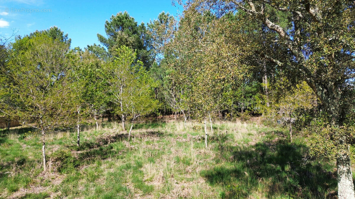 Terrain à SEIGNOSSE