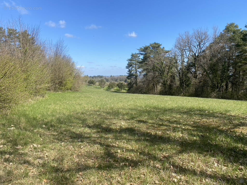 Terrain à SARLAT-LA-CANEDA