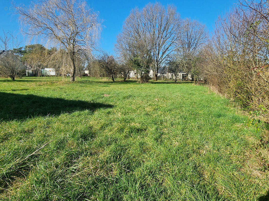 Terrain à SAVONNIERES