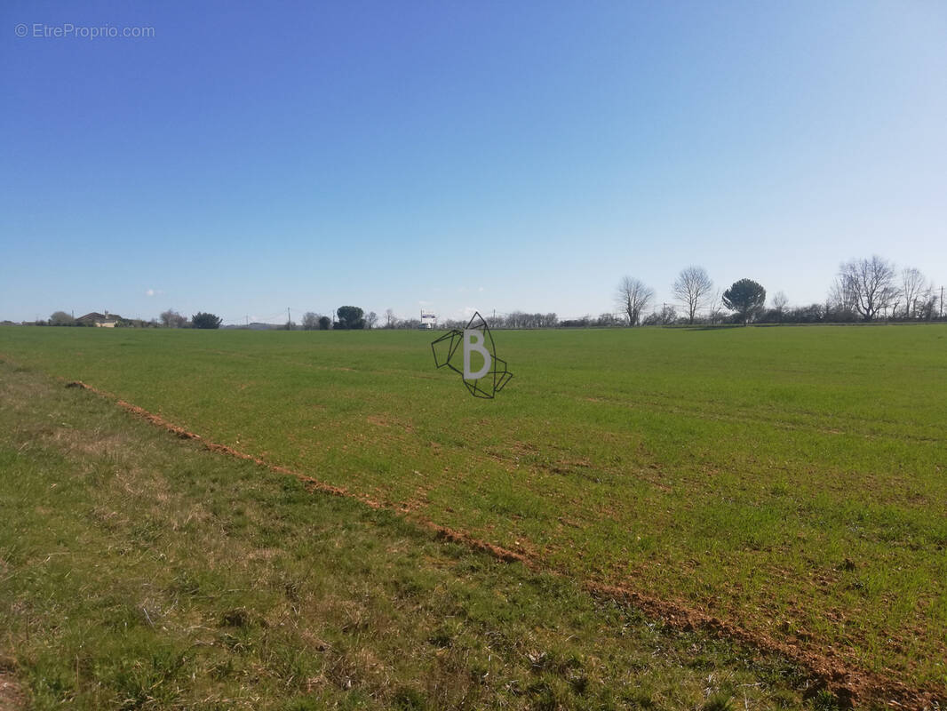 Terrain à PAMPELONNE
