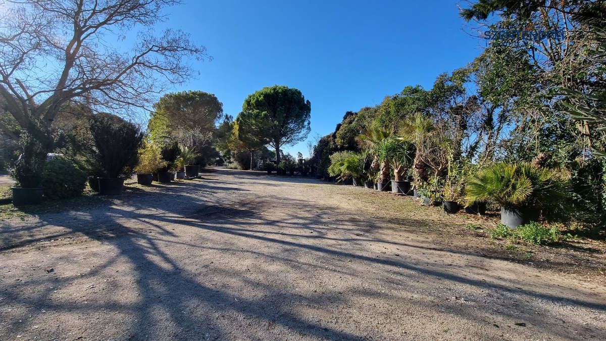Autre à MARSILLARGUES