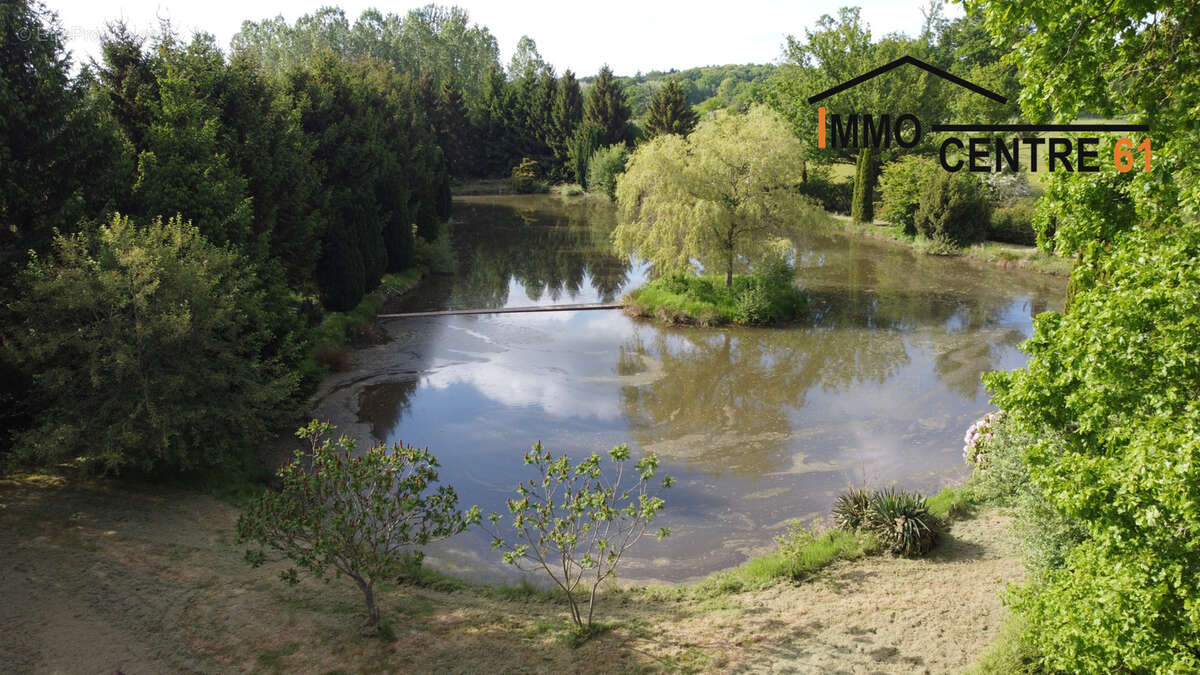 Terrain à LA FERTE-MACE
