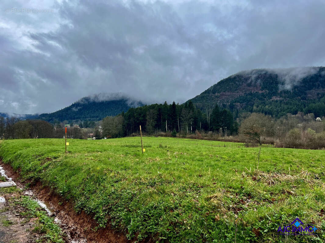 Terrain à SAINT-DIE-DES-VOSGES