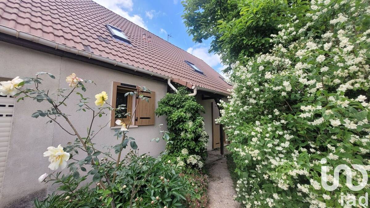 Photo 1 - Maison à LE CHATELET-EN-BRIE
