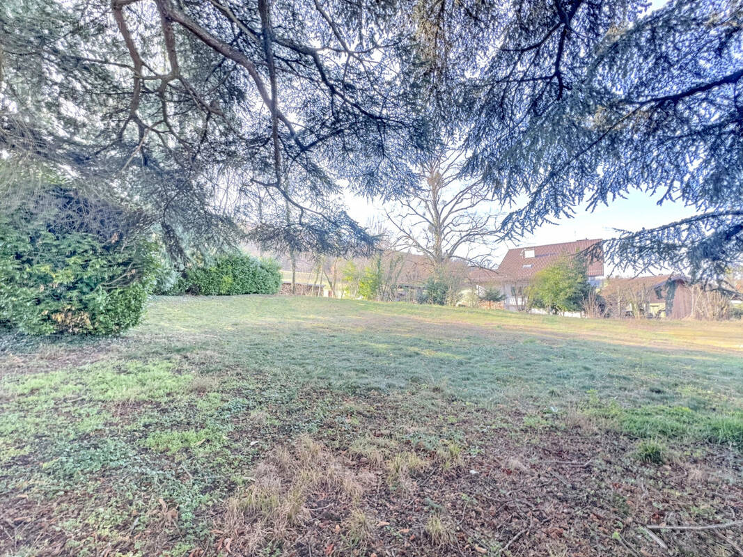 Terrain à LUGRIN