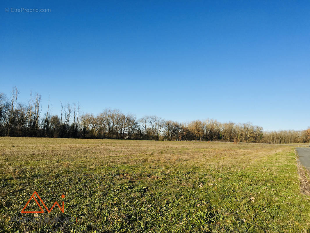 Terrain à GAILLAC