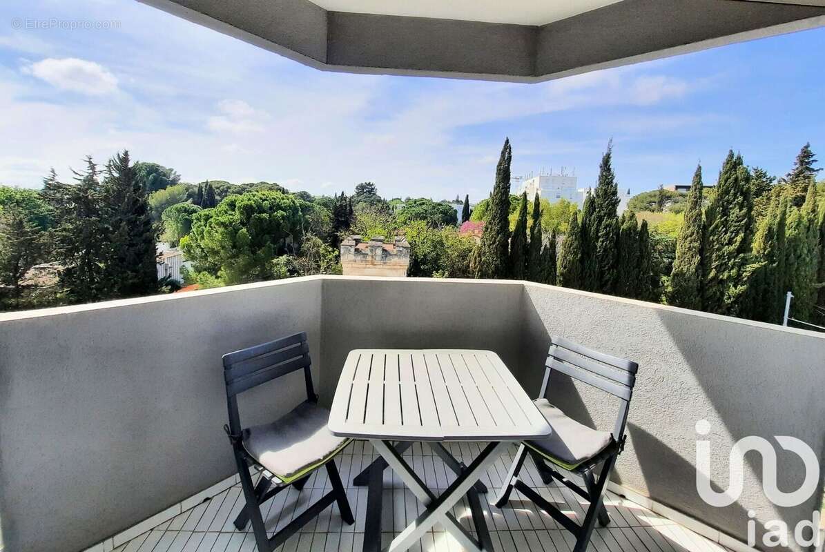 Photo 2 - Appartement à MONTPELLIER