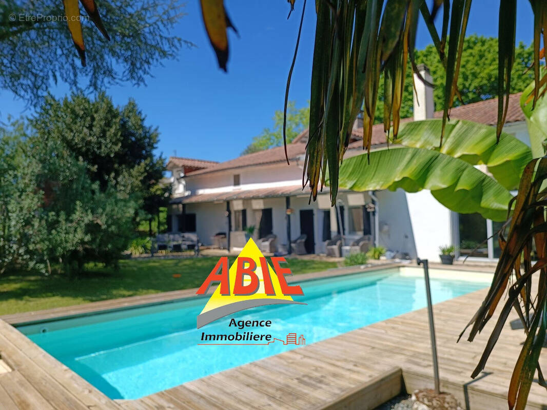 Photo 1 - Maison à COULON