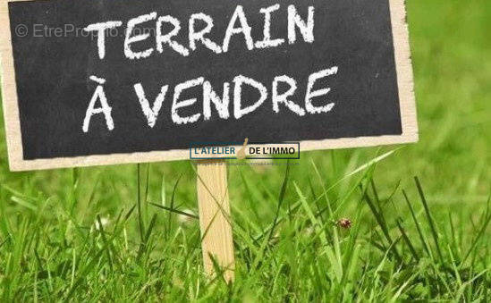 Terrain à MONETEAU