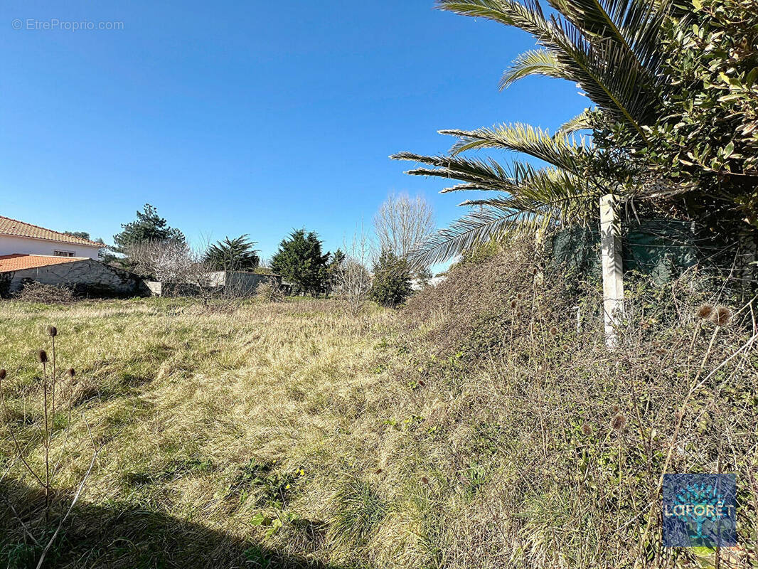 Terrain à BREM-SUR-MER