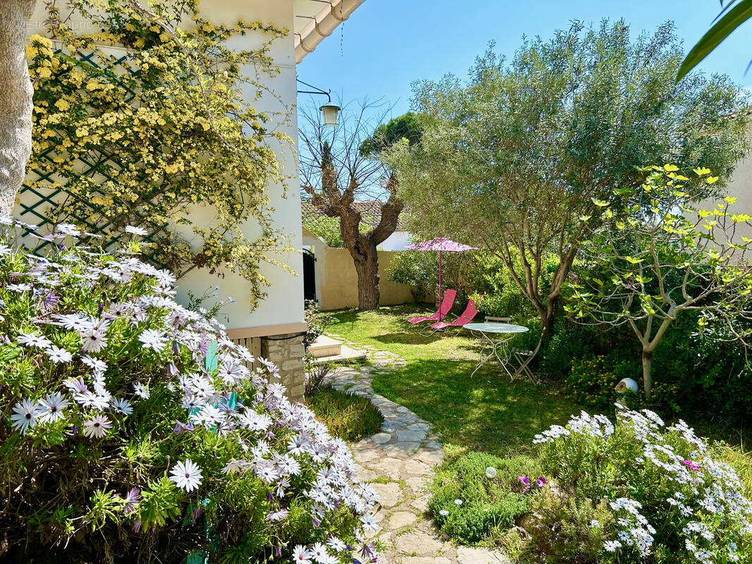 Appartement à SETE