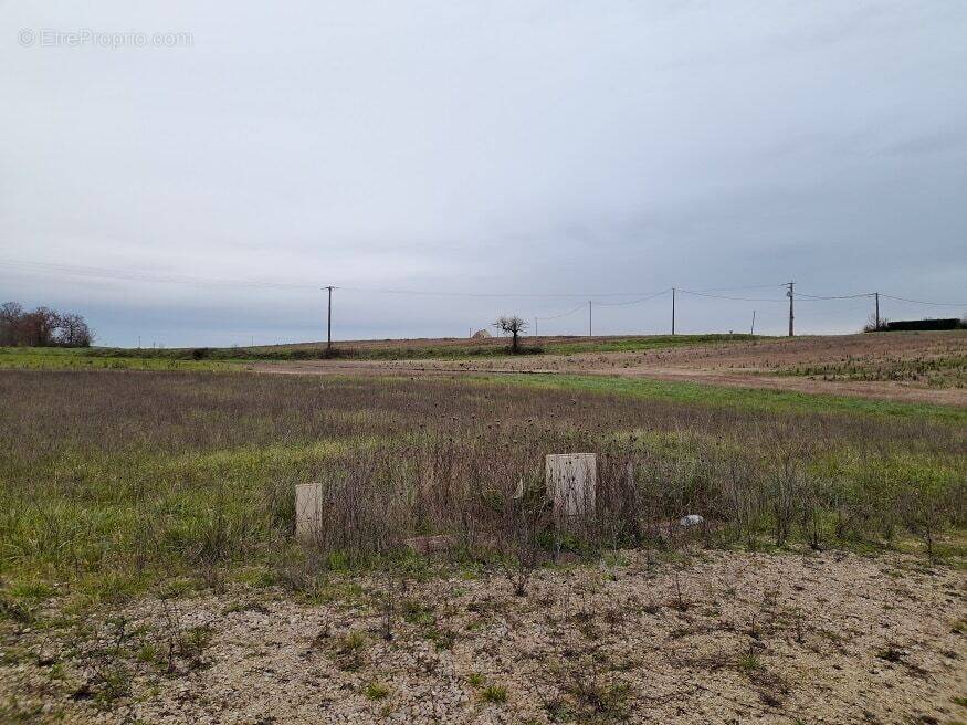Terrain à JAUNAY-CLAN