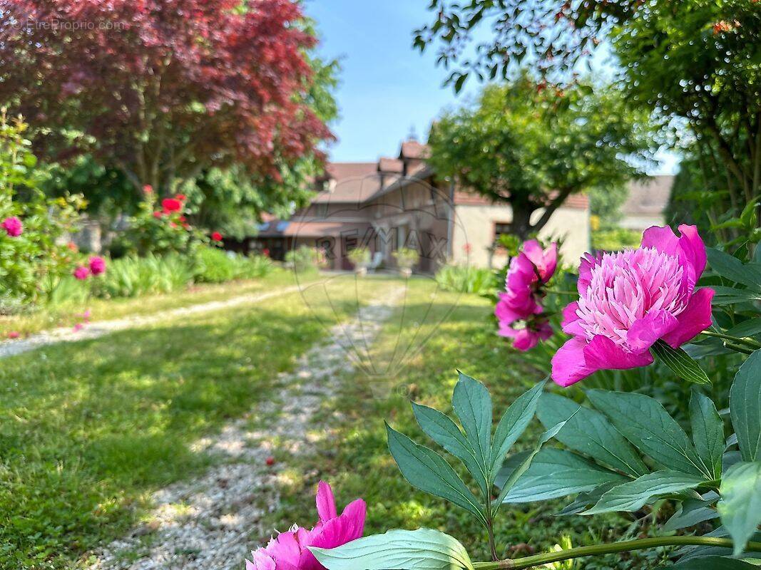 Maison à SENLIS