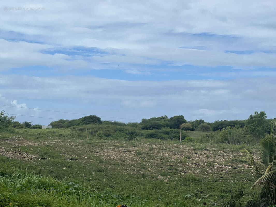 Terrain à SAINTE-ANNE