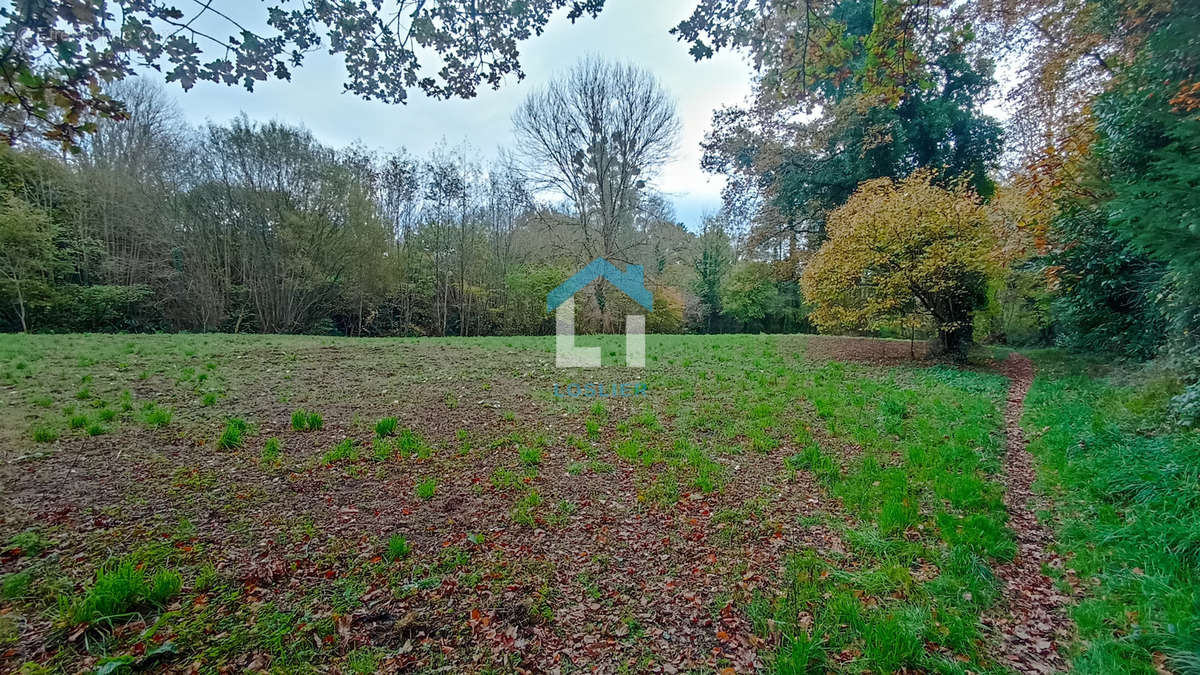 Terrain à SAUSSEY
