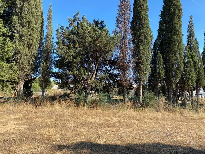 Terrain à LA CIOTAT