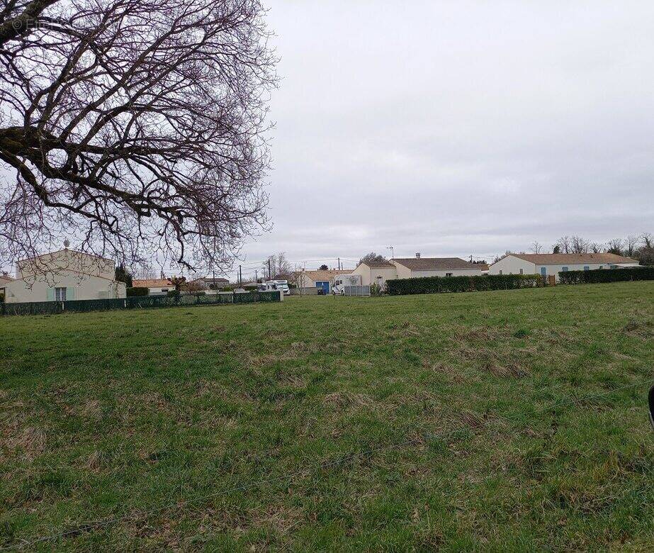 Terrain à MEDIS