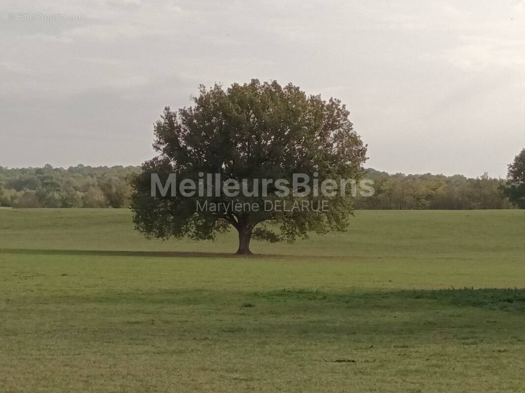 Terrain à LA BREDE