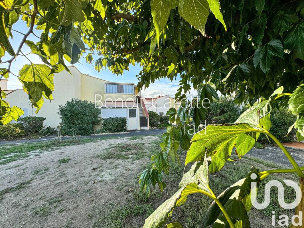 Photo 1 - Appartement à LE BARCARES