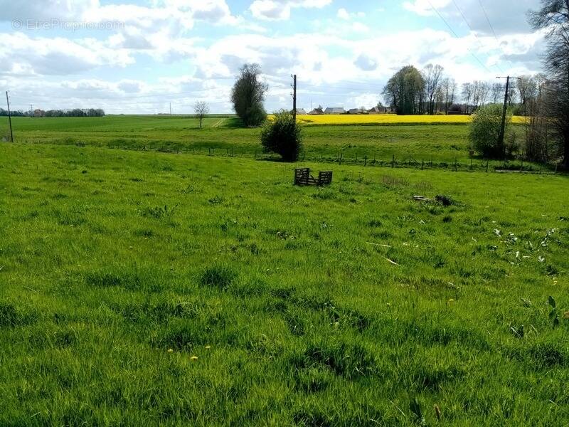 Terrain à YERVILLE