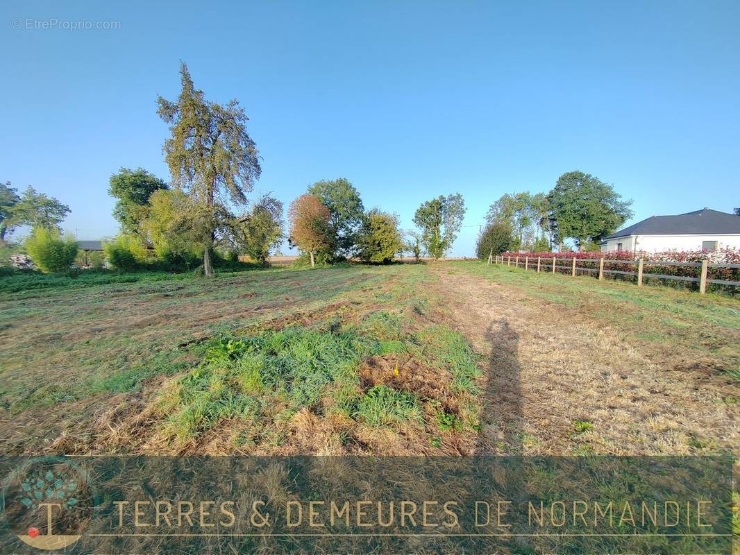 Terrain à BEUZEVILLE