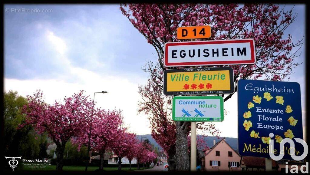 Photo 1 - Maison à EGUISHEIM