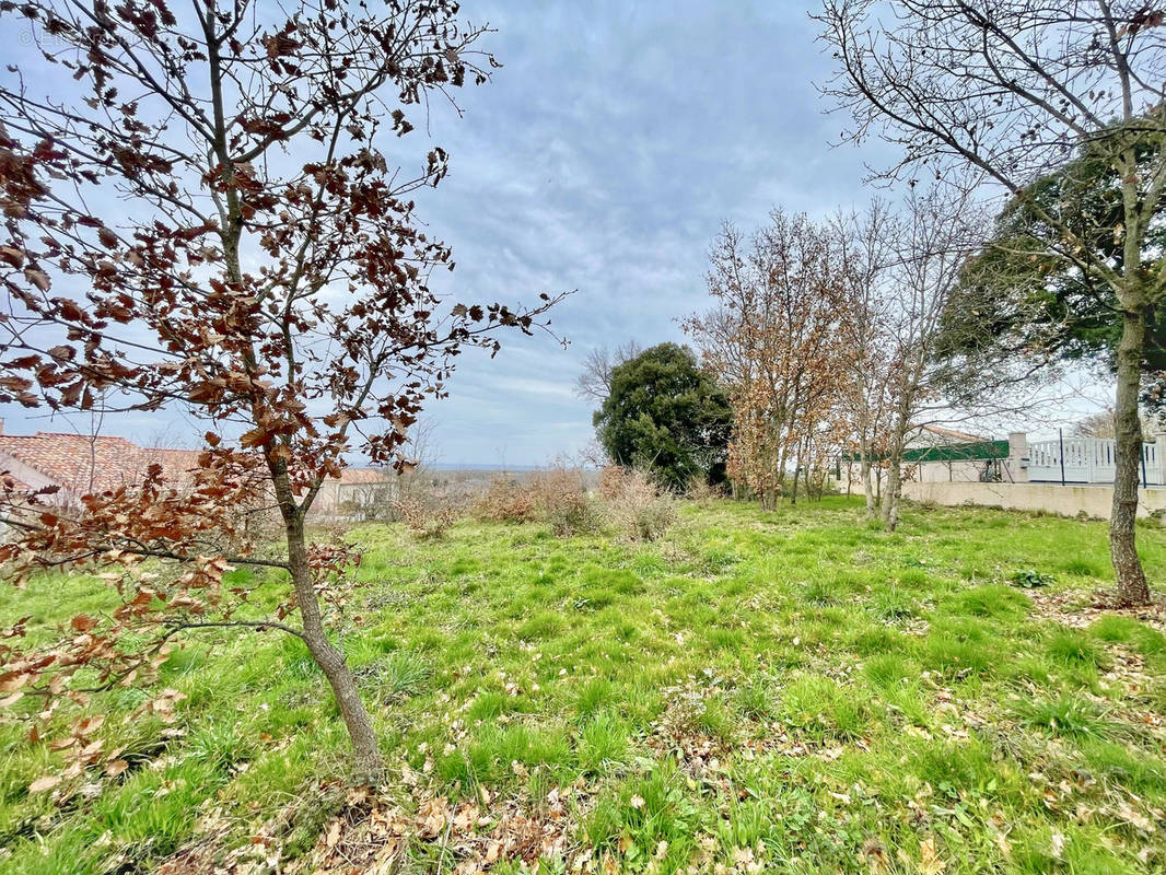 Terrain à GAILLAC