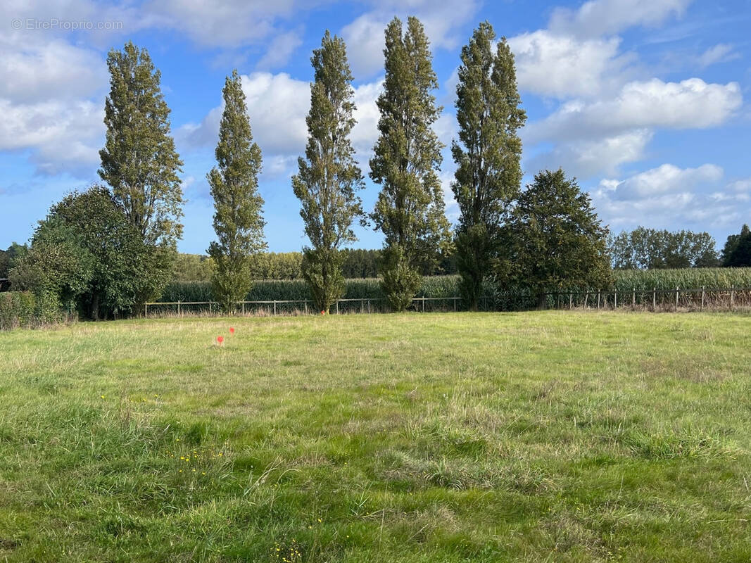 Terrain à PLEBOULLE