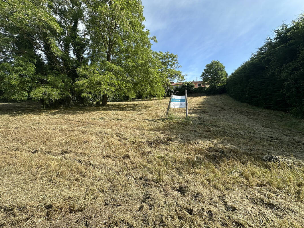 Terrain à THURINS