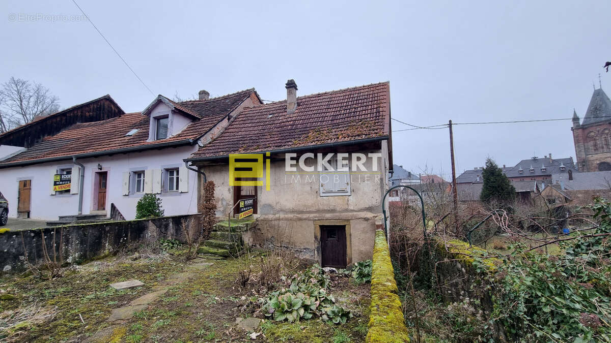 Maison à NIEDERHASLACH