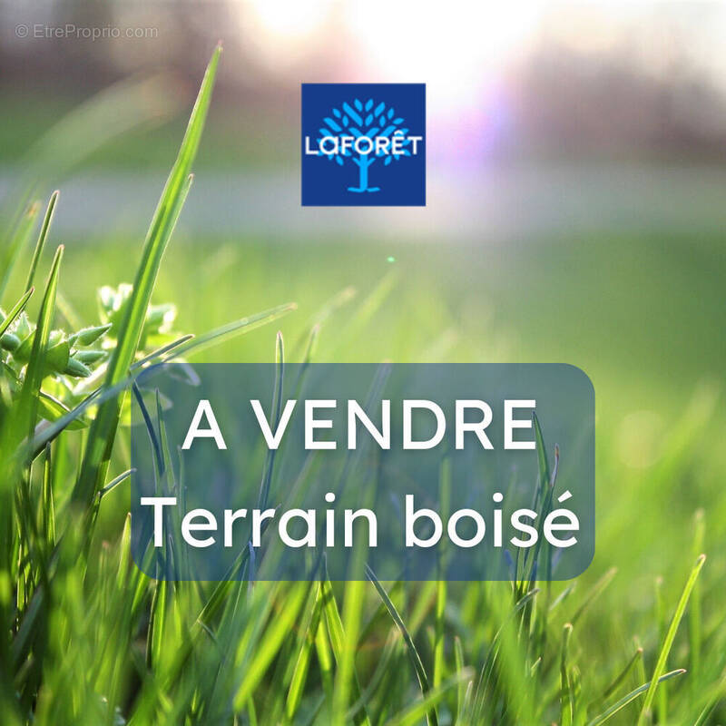 Terrain à PEAULE