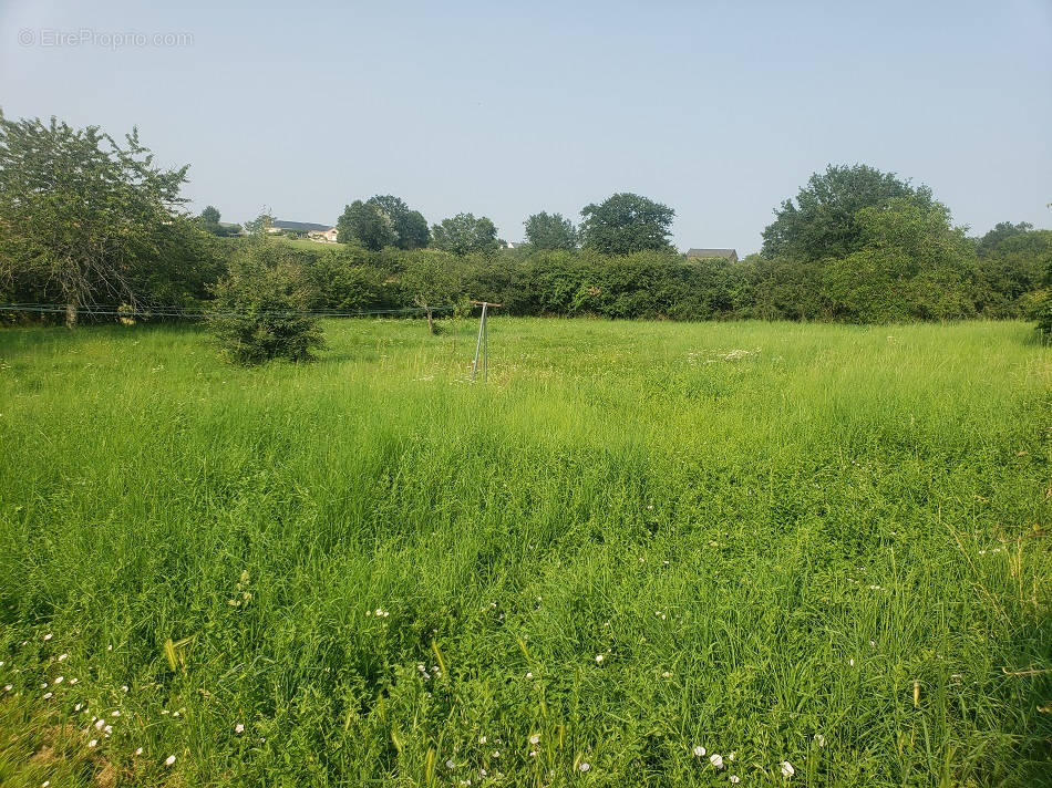 Terrain à NAUCELLE